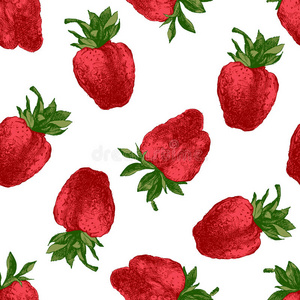 美味的 颜色 季节 简单的 插图 爱普生 水果 浆果 食物