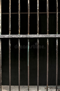 金属 细胞 监狱 技术 建筑学 金属的 磨碎 建筑 栏杆