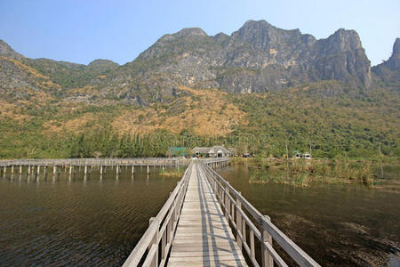 木材 风景 森林 地板 假期 自然 天空 旅行 假日 美丽的