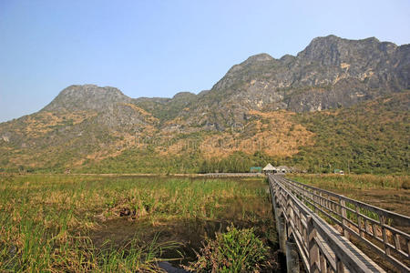 风景 假日 幸福 美丽的 木材 放松 自然 地板 夏天 天空