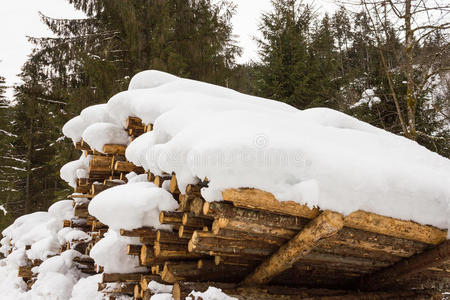 壁炉 森林 家宅 能量 燃料 自然 阿尔卑斯山 乡村 奥地利