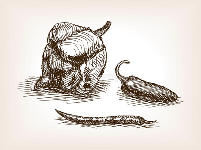 标签 绘画 植物 素描 插图 食物 草案 古老的 胡椒粉