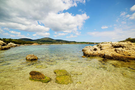 海岸 拉扎雷托 外部 夏天 灌木 惠特 风景 植被 意大利