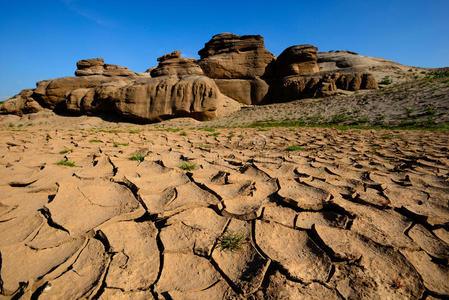 干旱地裂纹图片