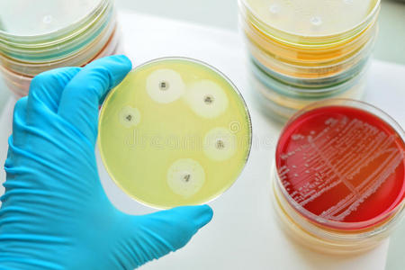 抗菌优药片的图片图片
