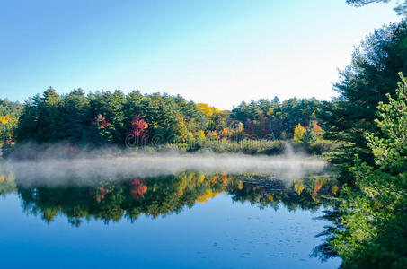 森林湖日出