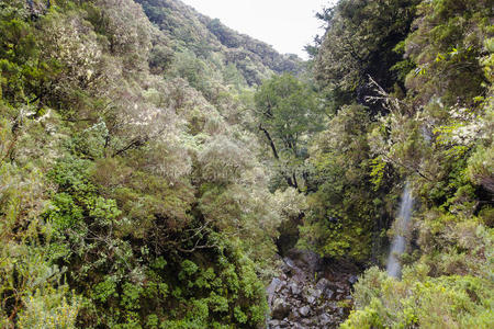 高的 欧洲 空气 丘陵 喷泉 自然 森林 峡谷 绿色植物