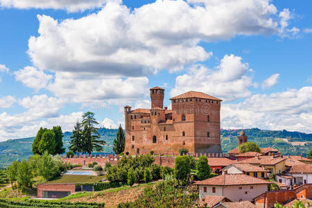 旅行 旅行者 皮埃蒙特 旅游业 地标 建筑学 城堡 意大利语