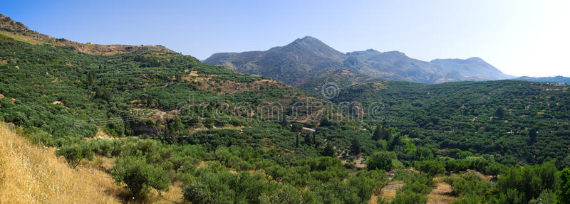 灌木 全景 旅游业 希腊 美丽的 近的 天空 自然 地中海