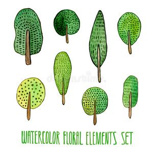 分支 形象 插图 植物 绘画 自然 卡片 美丽的 要素 树叶