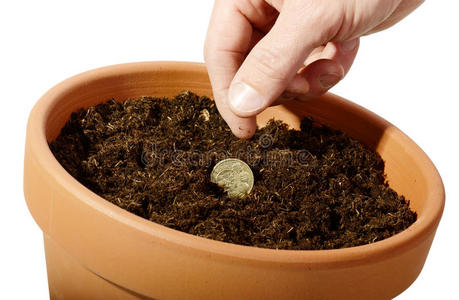 播种财富硬币种子照片