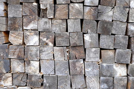 木柴 化石 木材 痔疮 燃料 家具 生产 树干 纸张 森林