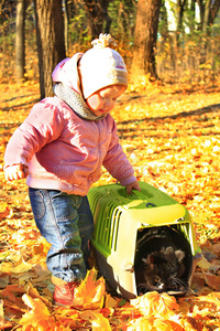 宝贝在秋天的公园里和她的猫在笼子里玩耍