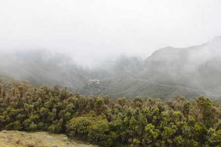 峡谷 丘陵 绿色植物 奥图 欧洲 森林 生态系统 高的 巴尔科