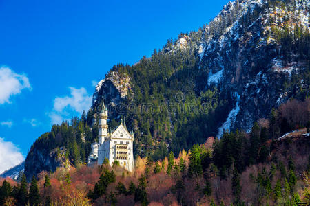 著名的Neuschwanstein城堡背景是阿尔卑斯山的山脉和树木。 福森，巴伐利亚，德国