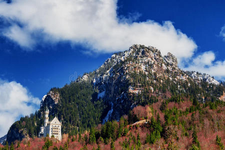 著名的Neuschwanstein城堡背景是阿尔卑斯山的山脉和树木。 福森，巴伐利亚，德国