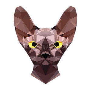 山猫的多边形矢量图解几何线性多边形猫.猫的抽象头.