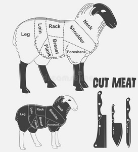 英国的羊肉或动物图肉。 矢量