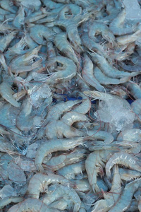 市场上烹饪的新鲜虾。