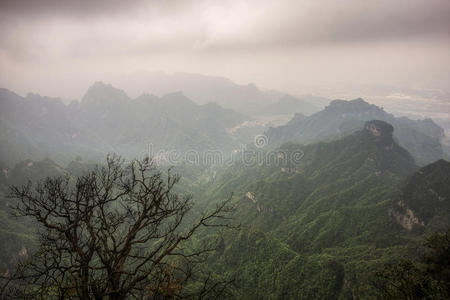 旅游业 亚洲 天桥 自然 瓷器 省份 悬崖 旅行 高峰 美女