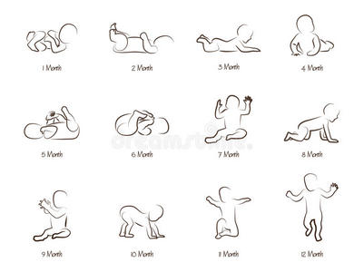 孩子的第一年的里程碑女性成长的阶段 从婴儿期到成熟人体生长阶段