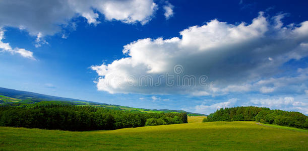 环境 植物 天空 夏天 农场 云景 春天 土地 农田 美女