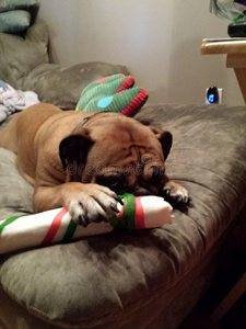 躲起来的表情包图片