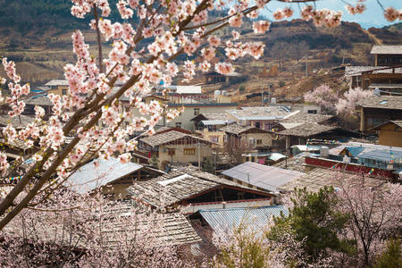 香格里 佛塔 亚洲 修道院 佛教 风景 颜色 圣地 基础设施