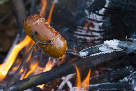 闲暇 烹饪 烧烤 午餐 自然 野餐 家庭 发光 冒险 燃烧