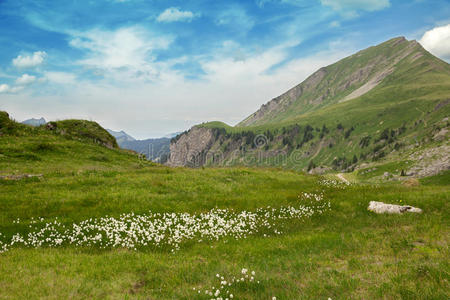 欧洲 皮克特 乡村 自然 土地 阿尔卑斯山 法国人 公园