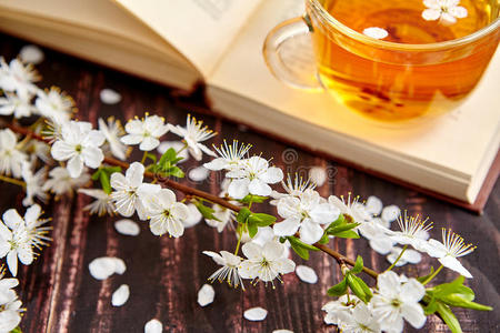 带茶阿拉伯图片