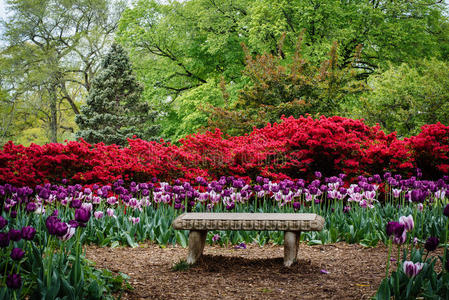 马里兰州巴尔的摩吉尔福德谢伍德花园公园的长凳和花园。