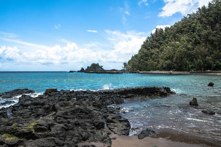 海洋 植物 植被 海岸线 岩石 太平洋 冲浪 夏威夷语 泡沫