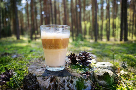 森林里的咖啡