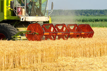 联合收割机在阳光明媚的夏日收获小麦
