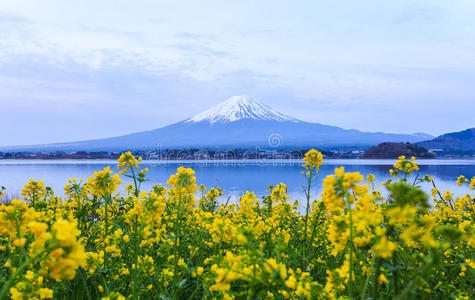 地标 川崎 反射 攀登 自然 川口 亚洲 旅行 美丽的 富士