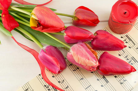 笔记 音乐 海洋 颜色 美女 花的 礼物 浪漫 庆祝 蜡烛