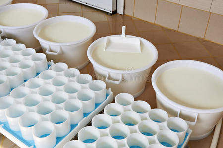 寒冷的 乳制品 手册 塑料 技术 坦克 工程 过程 牛奶