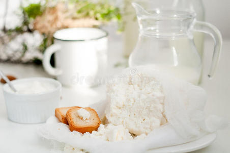 食物 开胃菜 小屋 牛奶 营养 饮食 点心 盘子 奶酪 特写镜头