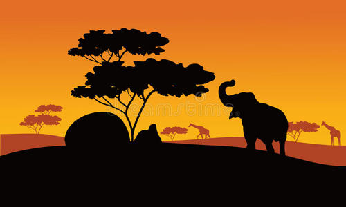 日落 大象 美丽的 生态学 长颈鹿 轮廓 天空 公园 太阳