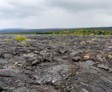 火山 自然 岩石 地质学 领域 喷发 夏威夷 植物 熔岩