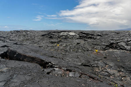 自然 地质学 熔岩 风景 喷发 岩石 夏威夷 领域 火山