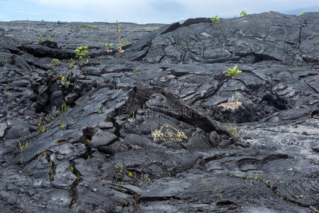 岩石 风景 自然 地质学 领域 熔岩 夏威夷 火山 喷发