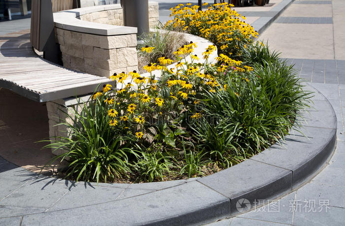 建筑 颜色 建筑学 植物 开花 生长 外部 园艺 自然 春天