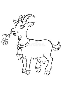 放养山羊图片-放养山羊素材-放养山羊插画-摄图新视界