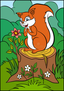 画可爱的小松鼠儿童卡通动物. 小可爱的松鼠.照片