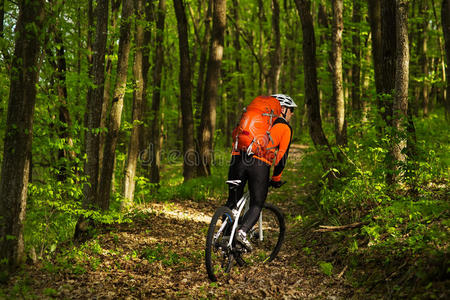 骑自行车的人在夏季森林的小径上骑自行车