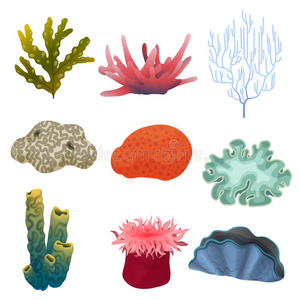 不同类型的卡通水下植物和彩色珊瑚礁珊瑚图标设置。 海底。
