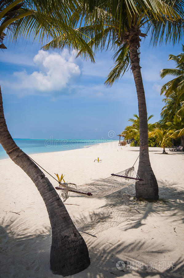 热带海滩棕榈树之间的空吊床
