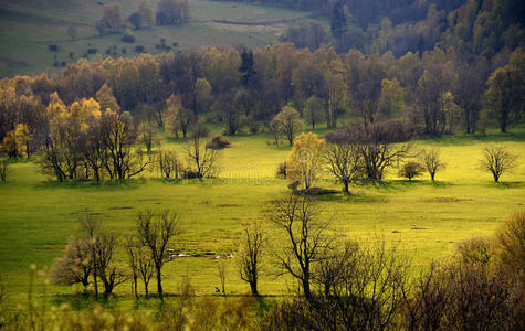 波希米亚 斯皮克 克鲁斯 森林 草地 山谷 灌溉 乡村 自然